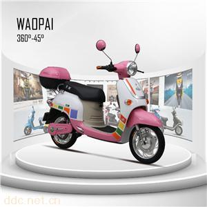  王派电动车红豆二代